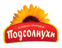 ПОДСОЛНУХИ СОЗДАНО ПРИРОДОЙ