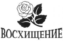 ВОСХИЩЕНИЕ