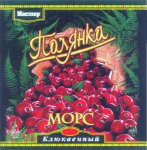 МАСТЕР ПОЛЯНКА МОРС КЛЮКВЕННЫЙ: MACTEP