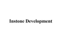 INSTONE DEVELOPMENT