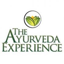 THE AYURVEDA EXPERIENCE