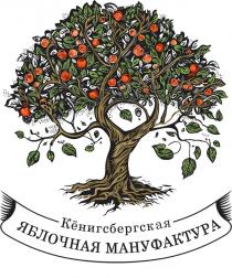 КЁНИГСБЕРГСКАЯ ЯБЛОЧНАЯ МАНУФАКТУРА