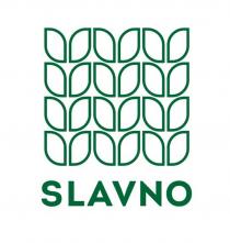 SLAVNO