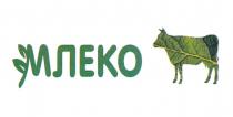 МЛЕКО