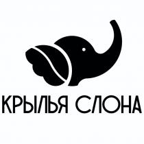 КРЫЛЬЯ СЛОНА