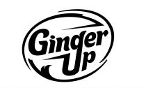 GINGER UP