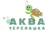 АКВА ЧЕРЕПАШКА