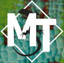 МТ