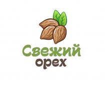 СВЕЖИЙ ОРЕХ