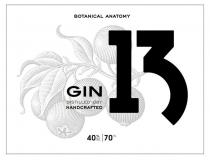 BOTANICAL ANATOMY 13 GIN DISTILLED DRY HANDCRAFTED