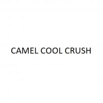 CAMEL COOL CRUSH