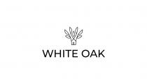 WHITE OAK