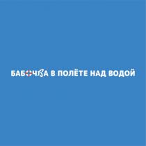 БАБОЧКА В ПОЛЁТЕ НАД ВОДОЙ