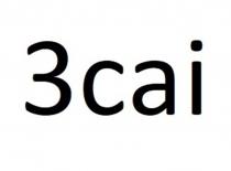 3CAI