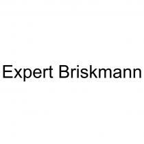 EXPERT BRISKMANN