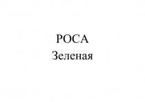 РОСА ЗЕЛЕНАЯ