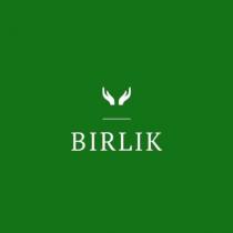 BIRLIK