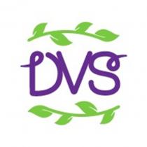 DVS