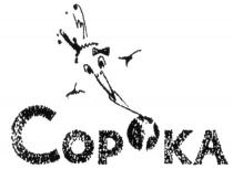 СОРОКА COPOKA