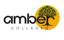 AMBER COLLAGEN