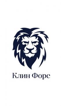 КЛИН ФОРС