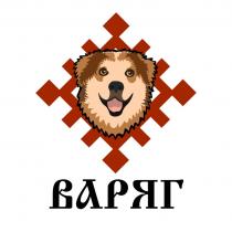 ВАРЯГ