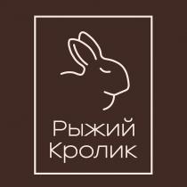 РЫЖИЙ КРОЛИК