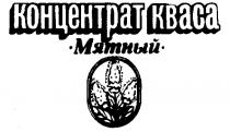 КОНЦЕНТРАТ КВАСА МЯТНЫЙ