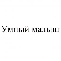 УМНЫЙ МАЛЫШ