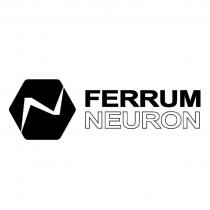 FERRUM NEURON