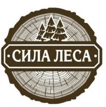 СИЛА ЛЕСА