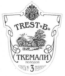 TREST B ТРЕСТЪ ТРЕСТ Б ТКЕМАЛИ МОЛОДОЙ СОУС № 3 ГРУЗИНСКИЙ