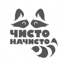 ЧИСТО НАЧИСТО