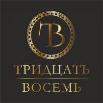 ТРИДЦАТЬ ВОСЕМЬ ТВ