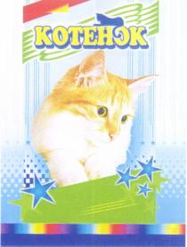 КОТЕНОК KOTEHOK