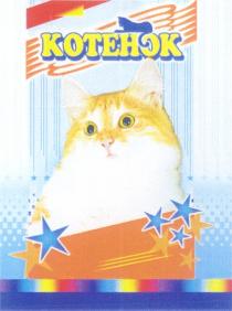 КОТЕНОК KOTEHOK