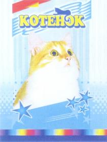 КОТЕНОК KOTEHOK