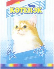 КОТЕНОК KOTEHOK