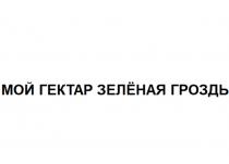 МОЙ ГЕКТАР ЗЕЛЁНАЯ ГРОЗДЬ
