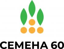 СЕМЕНА 60