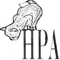 НРА HPA