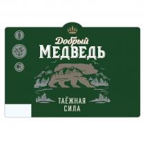 ДОБРЫЙ МЕДВЕДЬ ТАЁЖНАЯ СИЛА