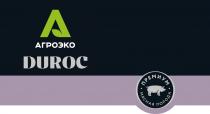 АГРОЭКО DUROC МЯСНАЯ ПОРОДА ПРЕМИУМ