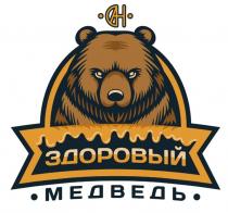 ЗДОРОВЫЙ МЕДВЕДЬ САН