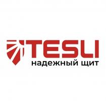 TESLI НАДЕЖНЫЙ ЩИТ