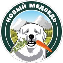 НОВЫЙ МЕДВЕДЬ