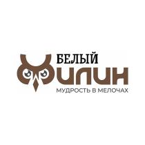БЕЛЫЙ ФИЛИН МУДРОСТЬ В МЕЛОЧАХ