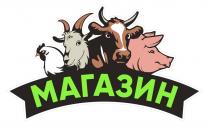 Магазин