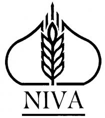 NIVA