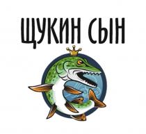 ЩУКИН СЫН